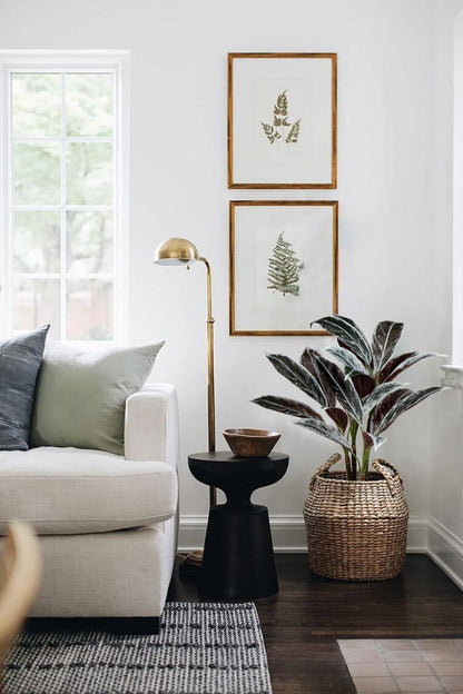 Briful Künstliche Cordyline Fruticosa Kunstpflanze 63CM Weißer Topf