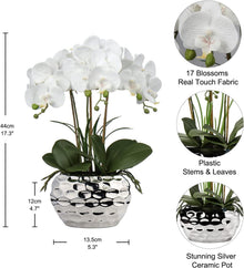 Orchidee Phalaenopsis Kunstblume 44CM Deko Bonsai