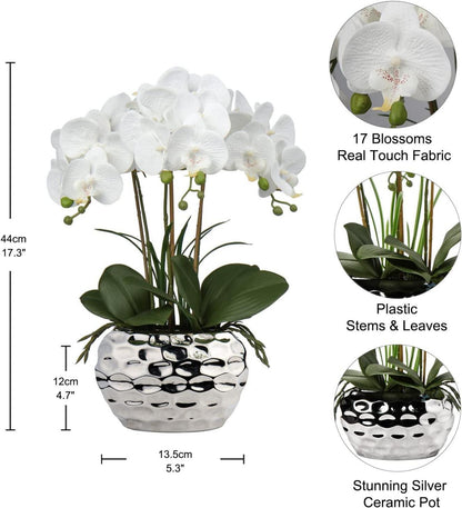 Orchidee Phalaenopsis Kunstblume 44CM Deko Bonsai