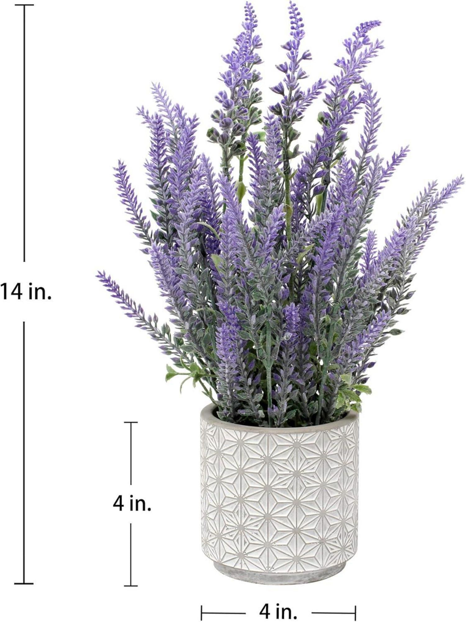 Künstliche Lavendel Kunstblume Flocked Zementtopf Indoor