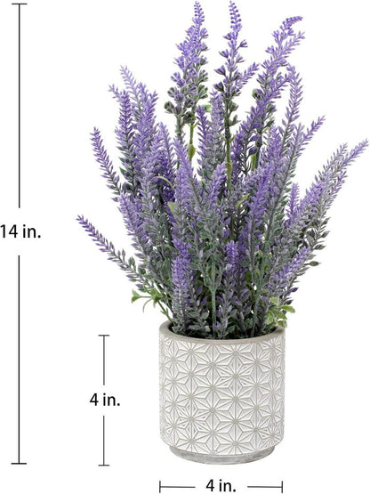 Künstliche Lavendel Kunstblume Flocked Zementtopf Indoor