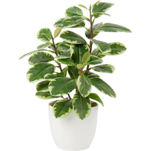 Künstliche Kamelie Kunstpflanze Seidenblumen Deko Blumen