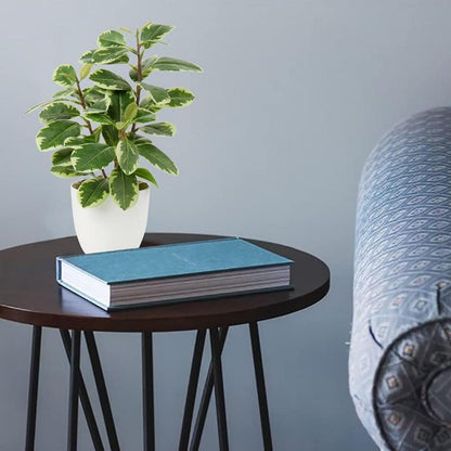 Künstliche Kamelie Kunstpflanze Seidenblumen Deko Blumen