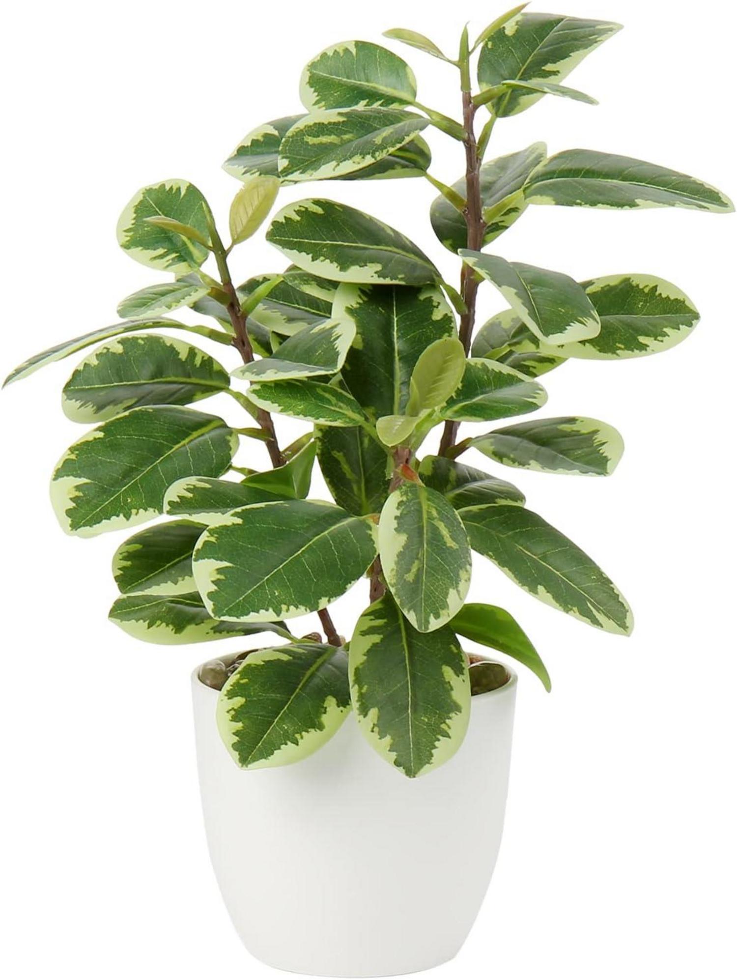 Künstliche Kamelie Kunstblume im Kunststofftopf 28 cm Green