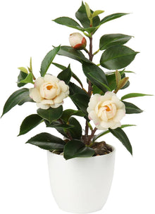 Künstliche Kamelie Blütenpflanze Gelb 28cm im Kunststofftopf