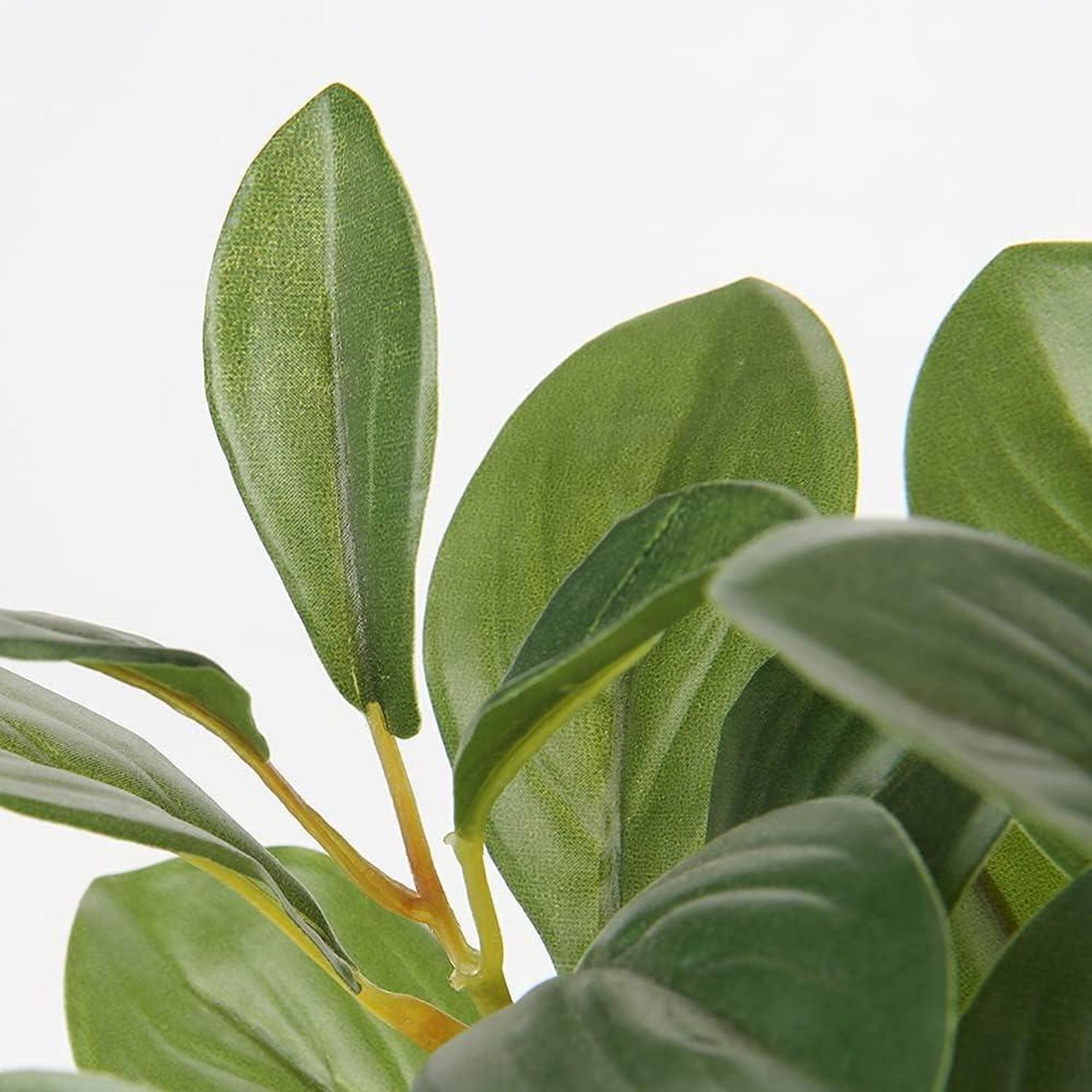 Künstliche Kamelie Kunstblumen im Kunststofftopf 28cm Deko Home Hotel Green