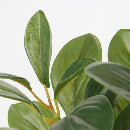 Künstliche Kamelie Kunstblumen im Kunststofftopf 28cm Deko Home Hotel Green