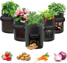 Grow Bag 5-Pack 10 Gallonen Vegetable Plant Bags mit Sichtfenster