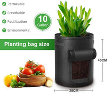 Grow Bag 10 Gallonen mit Sichtfenster und Griffen - 5er Pack