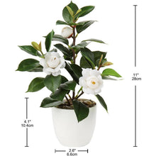 Künstliche Kamelie Kunstpflanze im Kunststofftopf 28 cm