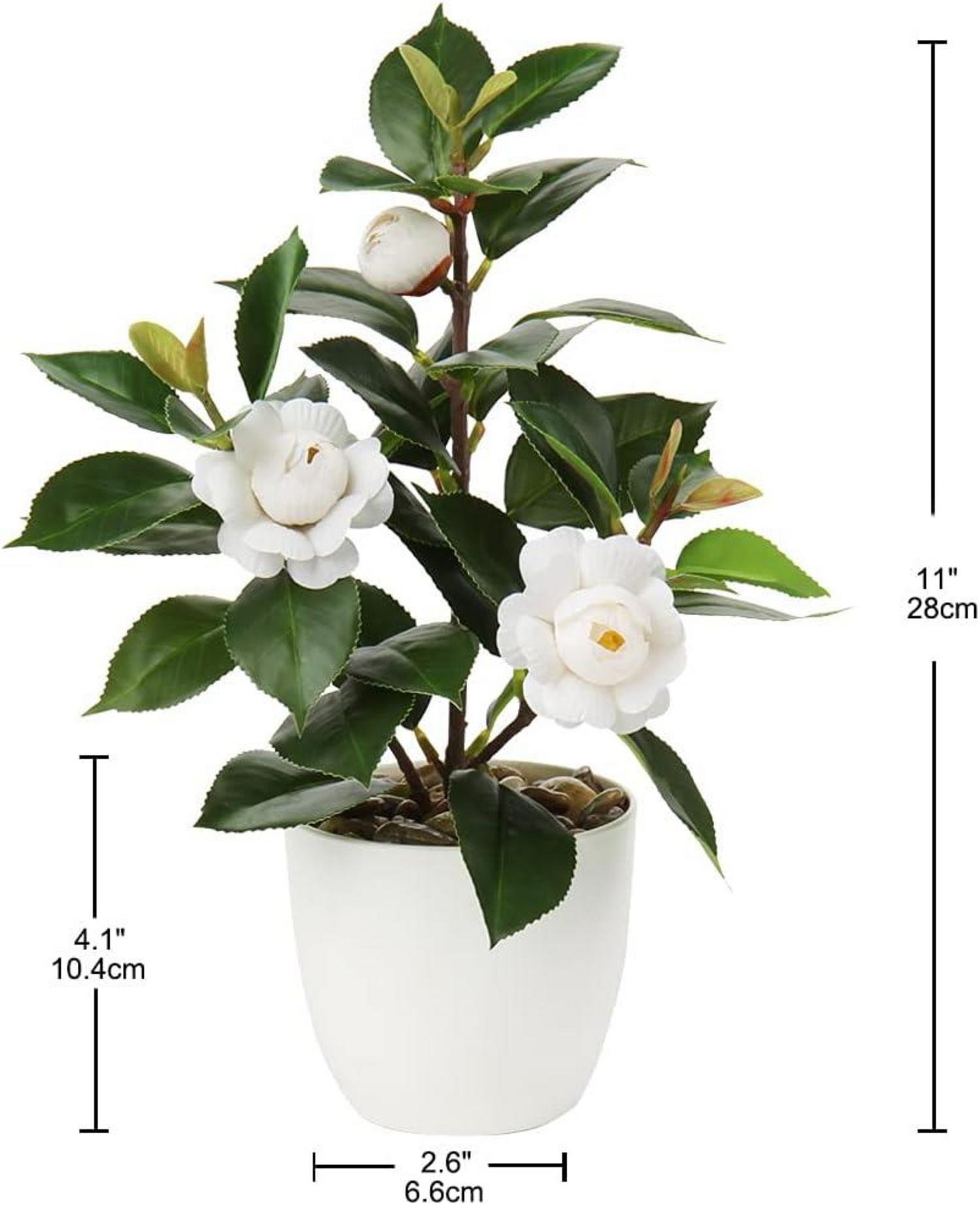 Künstliche Kamelie Kunstpflanze im Kunststofftopf 28 cm