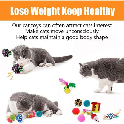 Speedy Panther Katzenspielzeug Set - Interaktives Spielzeug