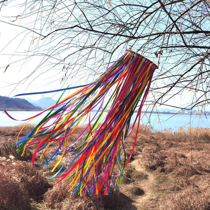 Farbenfroher Satinband Windsack 104cm Outdoor Deko WS41-01