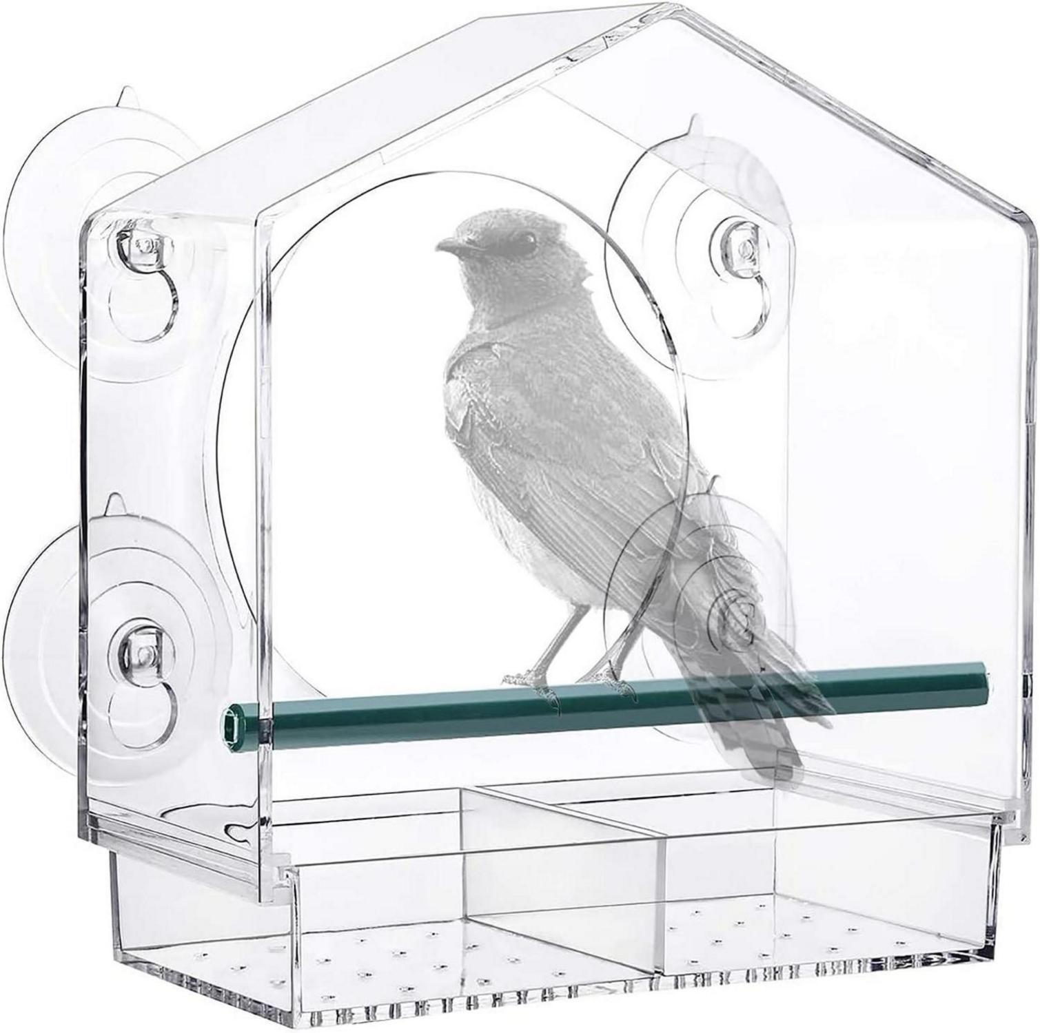 Transparente Vogelfutterstation mit Saugnäpfen für Wildvögel