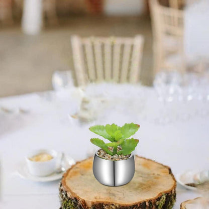 2er Set Künstliche Sukkulenten Kunstpflanzen Deko Zimmerpflanzen