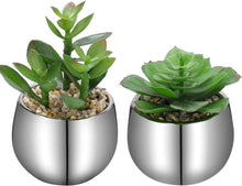 2er Set Künstliche Sukkulenten im Keramiktopf - Deko Pflanzen für