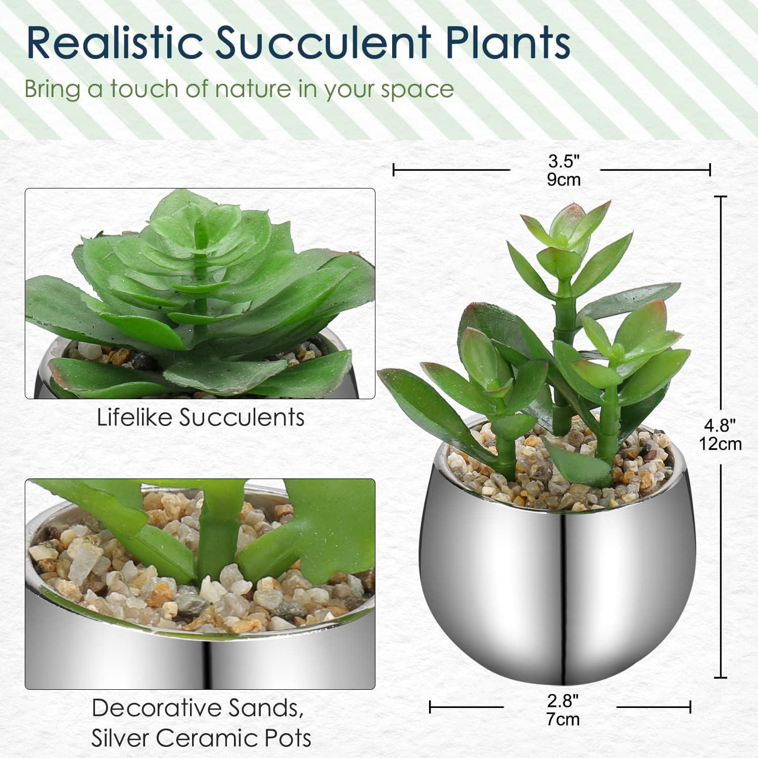 2er-Set Sukkulenten Kunstpflanzen in Keramiktopf Wohnzimmer