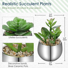 2er-Set Sukkulenten Kunstpflanzen in Keramiktopf Wohnzimmer