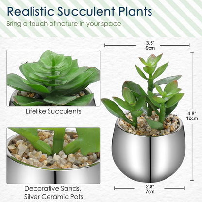 2er-Set Sukkulenten Kunstpflanzen in Keramiktopf Wohnzimmer