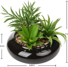 Kunstpflanze Sukkulenten Arrangement im Keramiktopf 18 cm