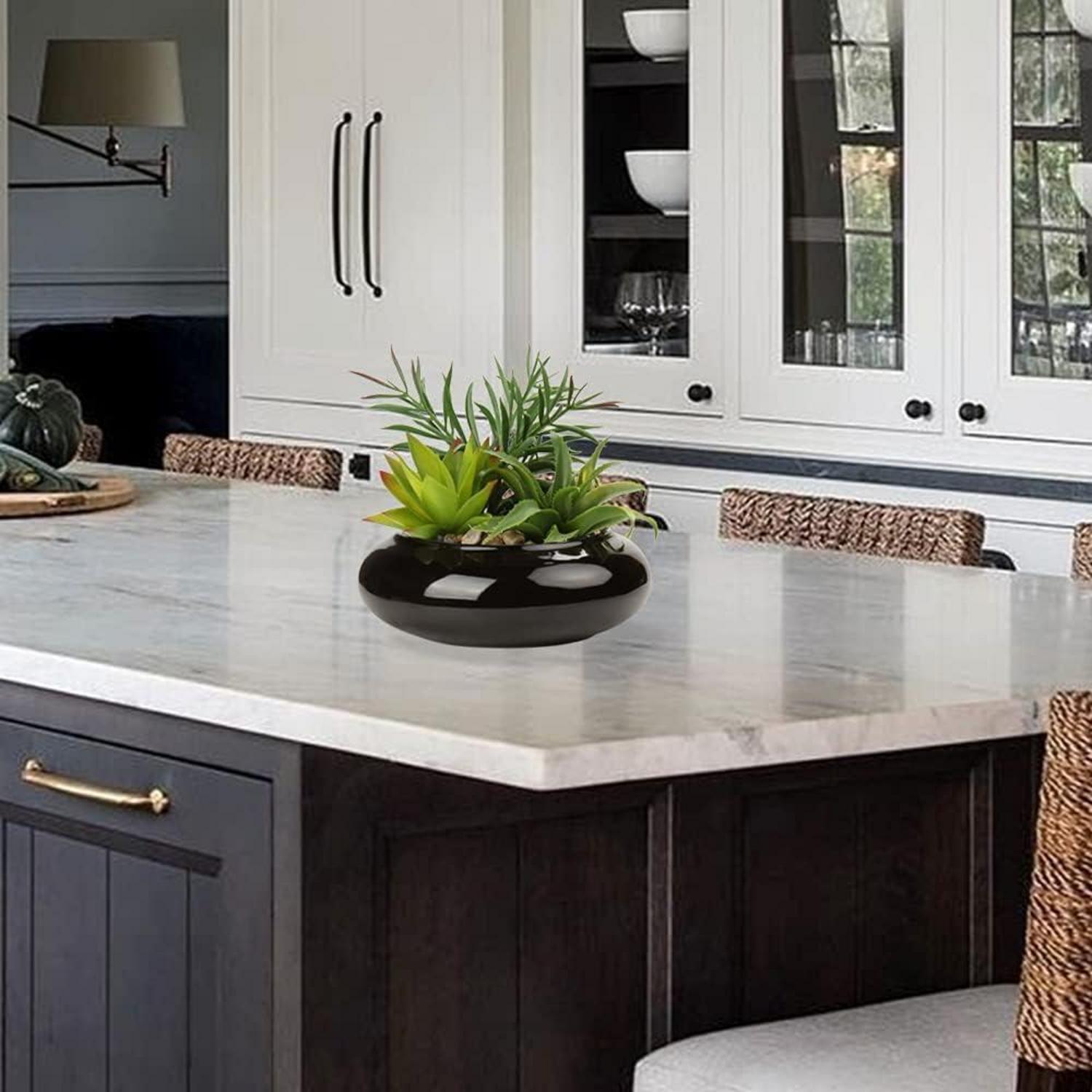 Künstliche Sukkulenten Pflanze im Keramiktopf 18 cm Schwarz