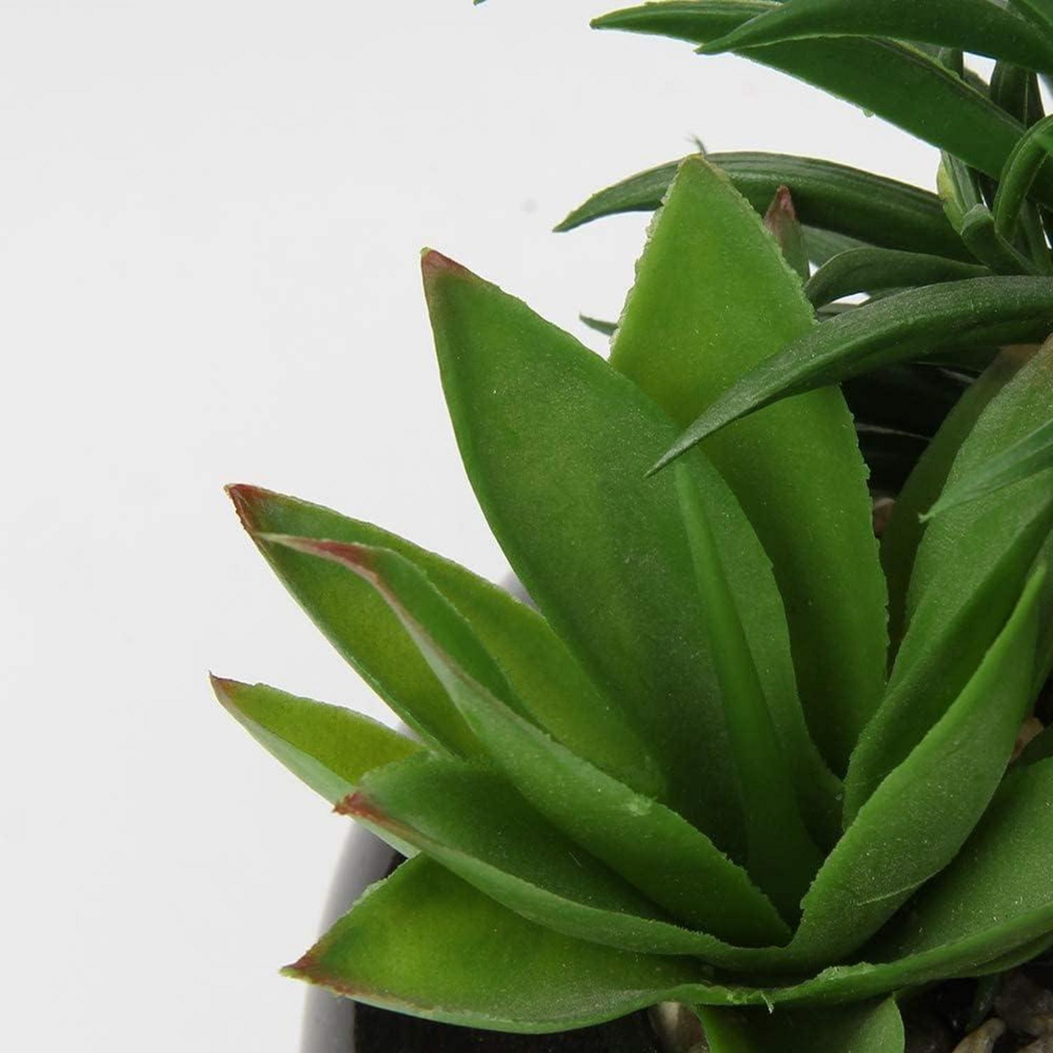 Kunstpflanze Künstliche Sukkulenten im Keramiktopf Zimmerpflanze