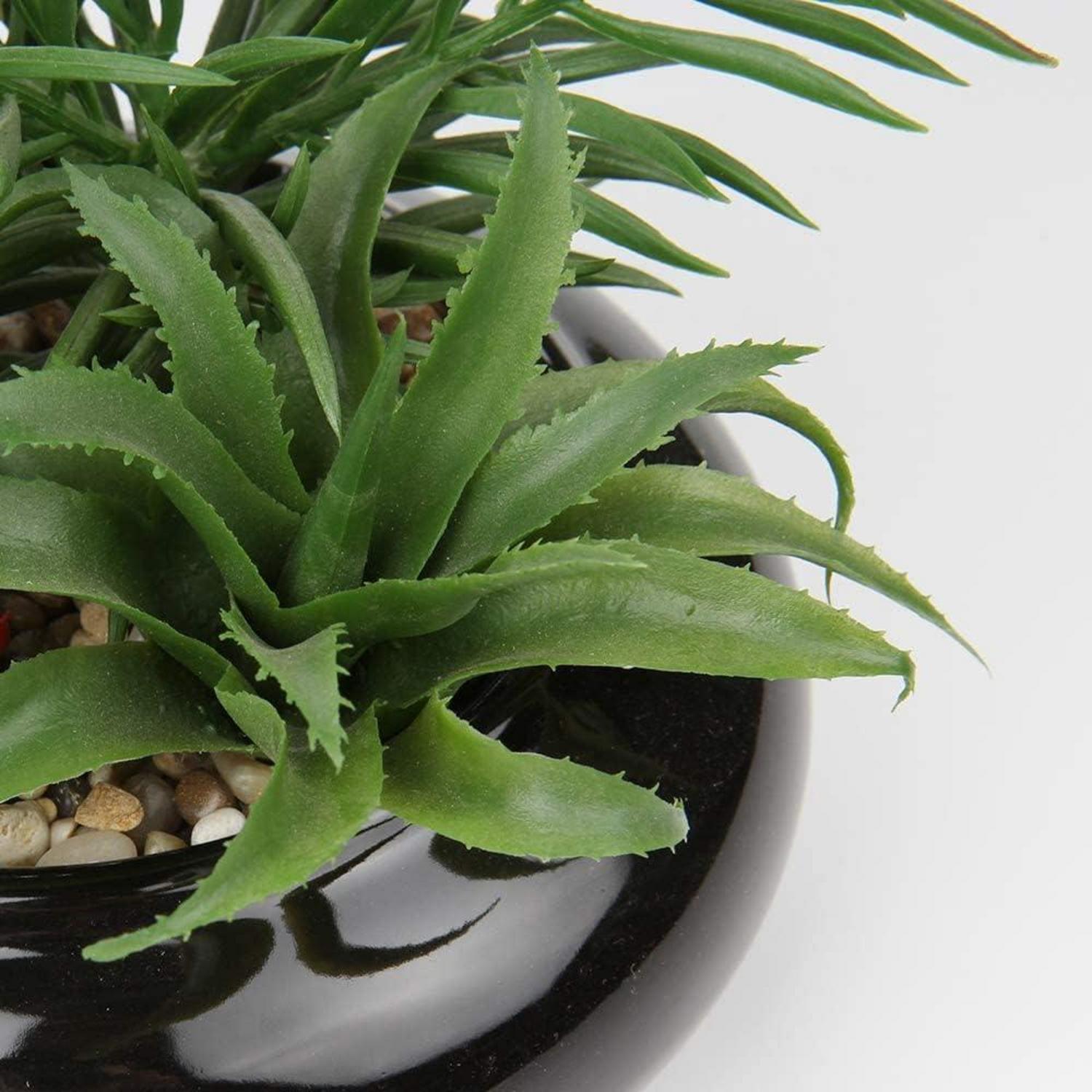 Künstliche Sukkulenten Pflanze im Keramiktopf 18 cm Schwarz