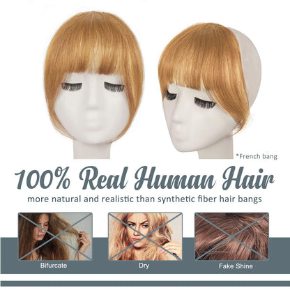 BARSDAR Echthaar Clip in Pony Golden Blond Französisch