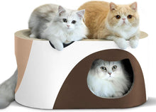 Kratzpappe Katze Ovale Kratzmatte Spielzeug 58x31x30 cm Oval
