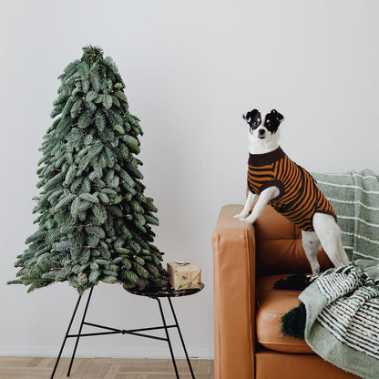 Kuoser Hundebody OP Kastration Leckschutz Hund Braun M