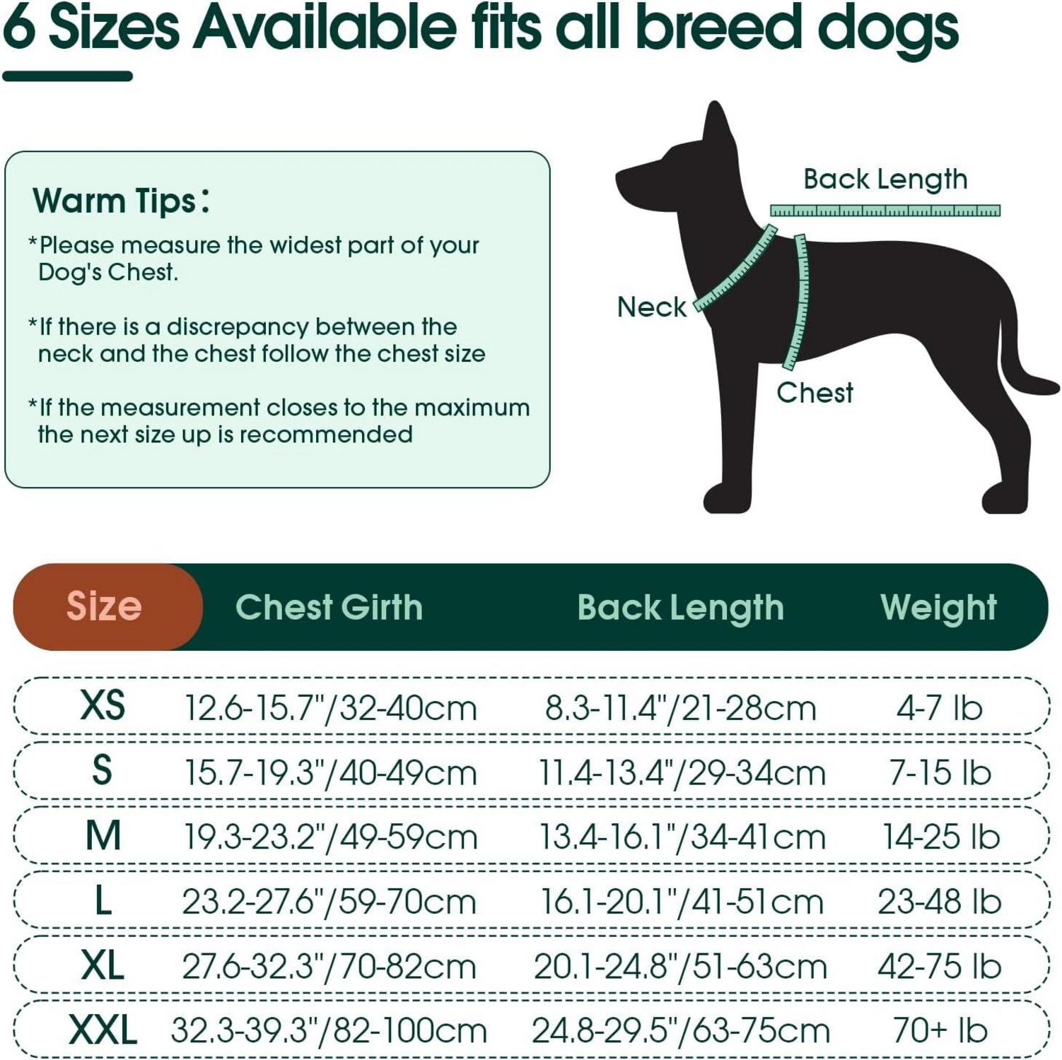 Hundebody Op Kastration Atmungsaktiv Leckschutz Braun XL