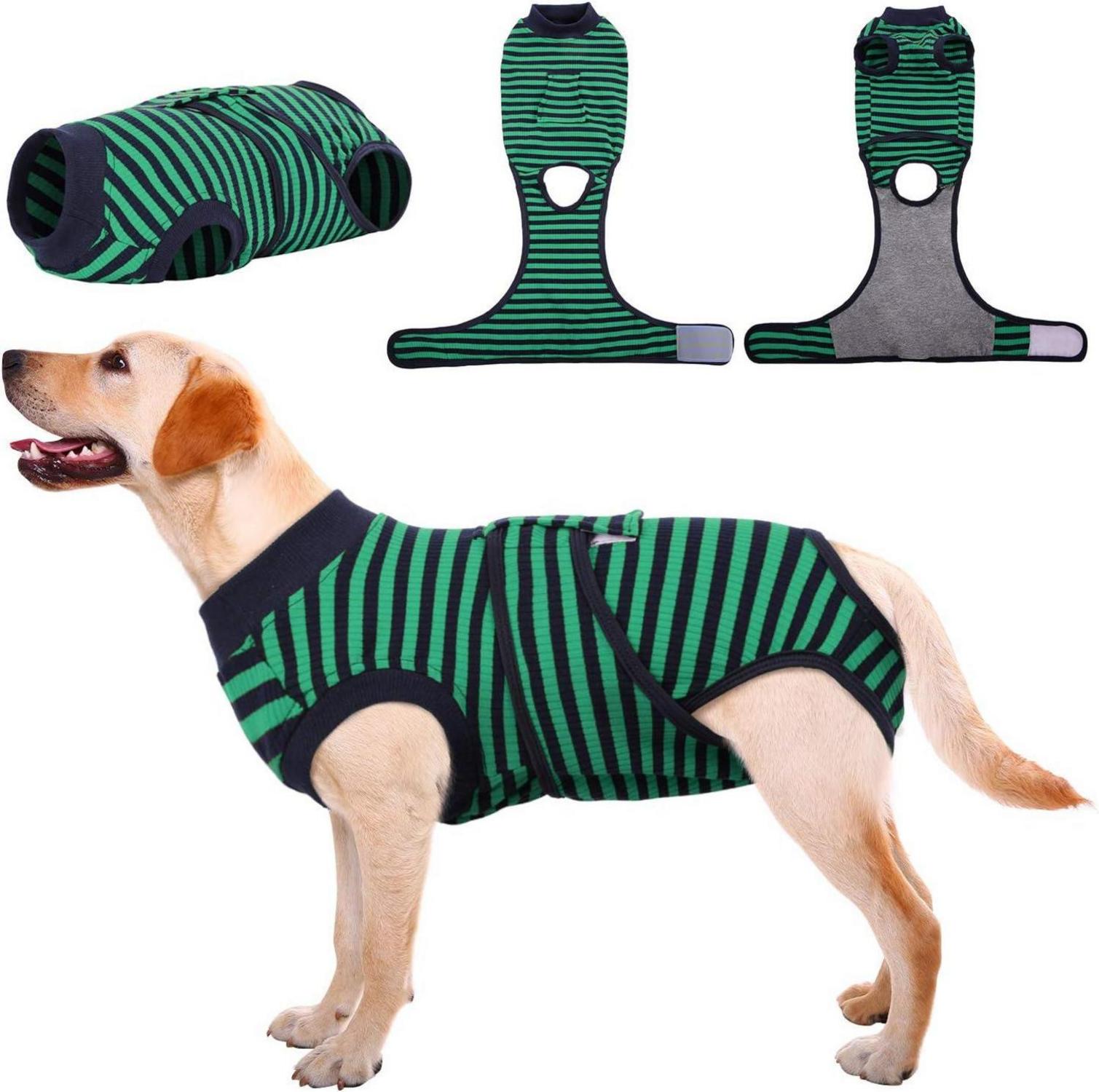 Hundebody nach Op, Kastration - Atmungsaktiv, Leckschutz, Grün XL