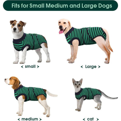 Hundebody Op Kastration Leckschutz Hund Grün L