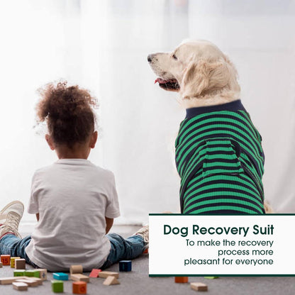 Hundebody Op Kastration Leckschutz Hund Grün L