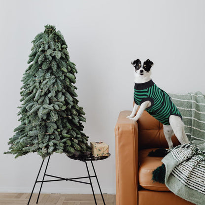 Kuoser Hundebody Nach Op Kastration Rüde Hündin Atmungsaktiv