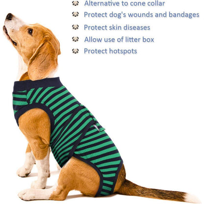 Kuoser Hundebody Nach Op Kastration Rüde Hündin Atmungsaktiv