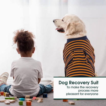 Hundebody Op Kastration Leckschutz Anti-Wundlecken Braun S