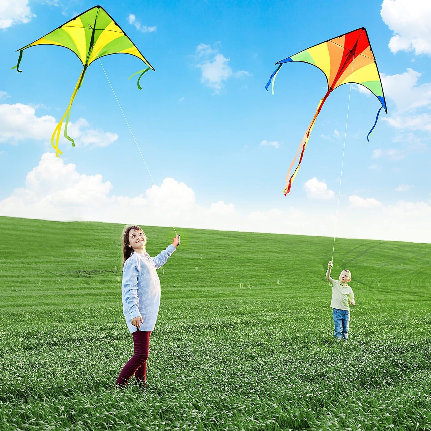 2er-Pack Riesige Delta-Drachen Grün Regenbogen 262,5 ft Schnur