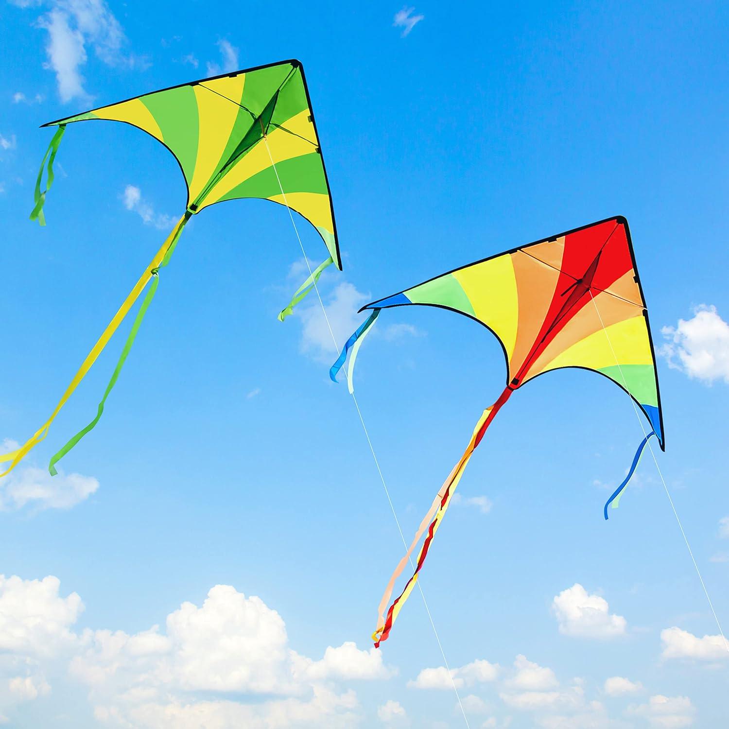 2er Set Delta Drachen Grün & Regenbogen 262,5 ft Schnur