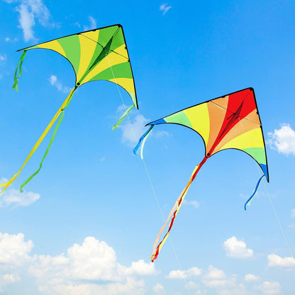 2er Set Delta Drachen Grün & Regenbogen 262,5 ft Schnur
