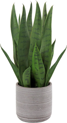 Kunstpflanze Sanseveria Deko-Pflanze Zementtopf 40cm