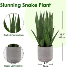 Kunstpflanze Sanseveria 40 cm Zementtopf Dunkelgrün