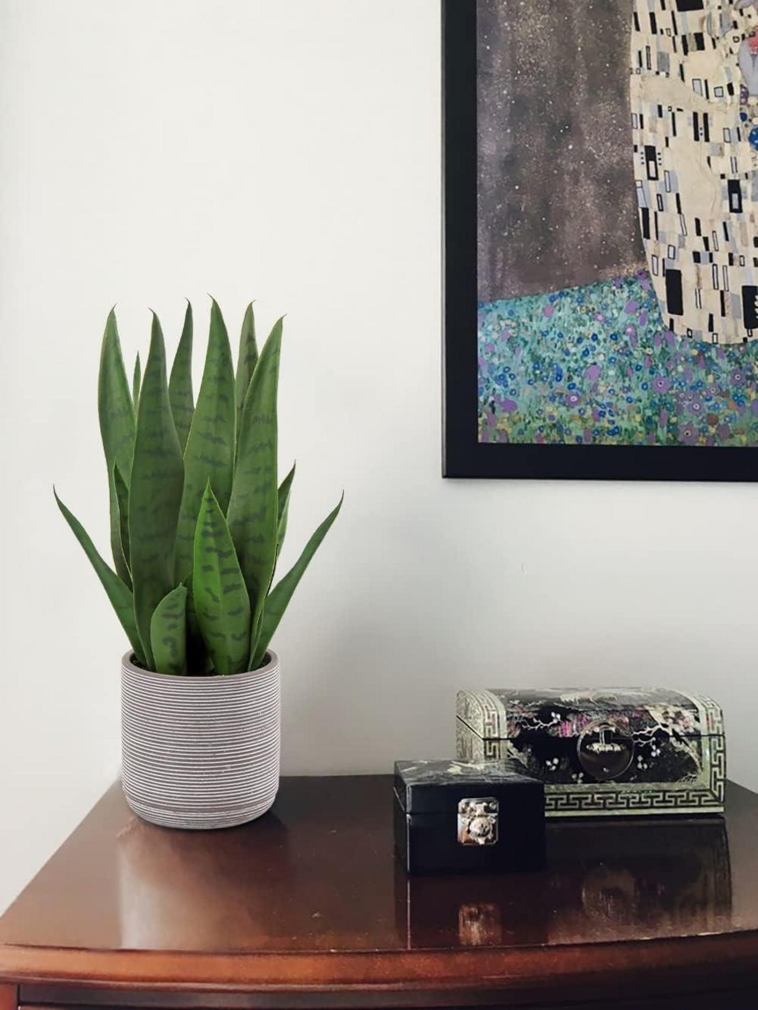 Kunstpflanze Sanseveria Deko-Pflanze 40 cm Zementtopf - grün