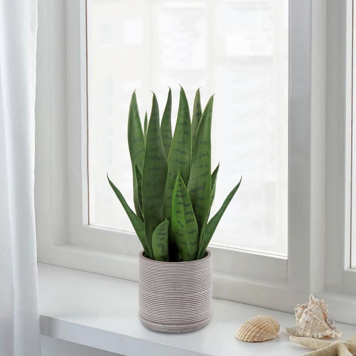 Kunstpflanze Sanseveria 40 cm Deko-Pflanze Zementtopf Dunkelgrün