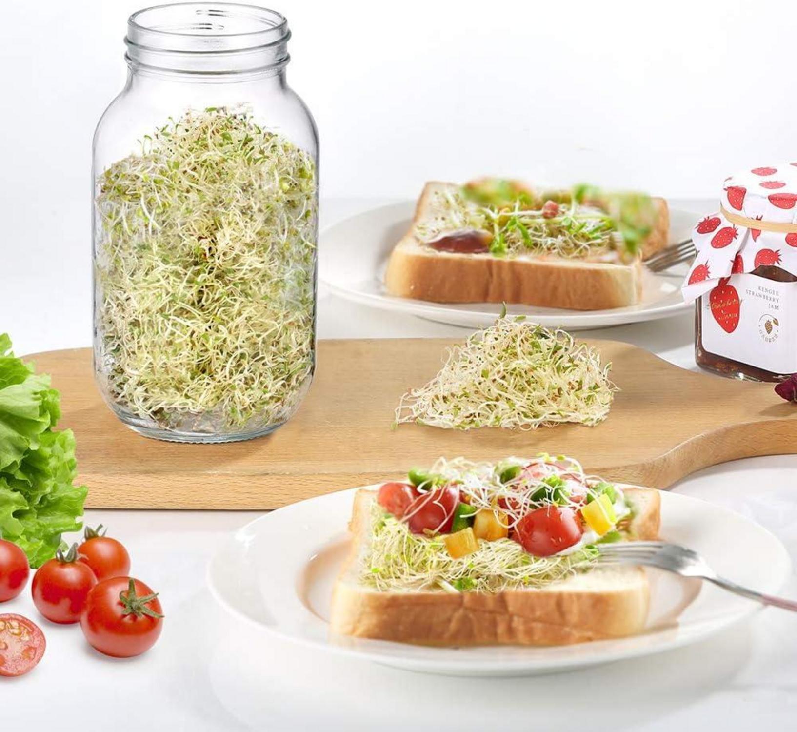 Hydroponische Sprossen Keimglas 2er Set mit Filterdeckel und Ständer - 750ml