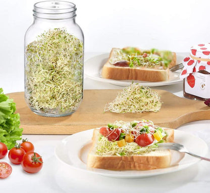 Hydroponische Sprossen Keimglas 2er Set mit Filterdeckel und Ständer - 750ml