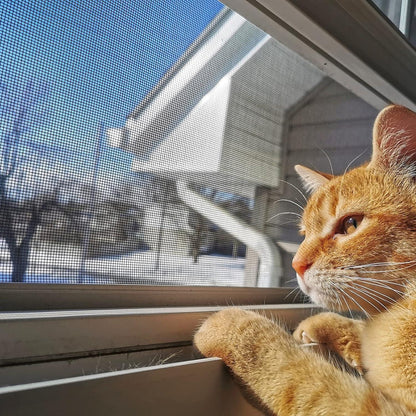 Cieex 2 Stück Fliegengitter 200x200cm Meterware Grau mit Reinigungsbürste