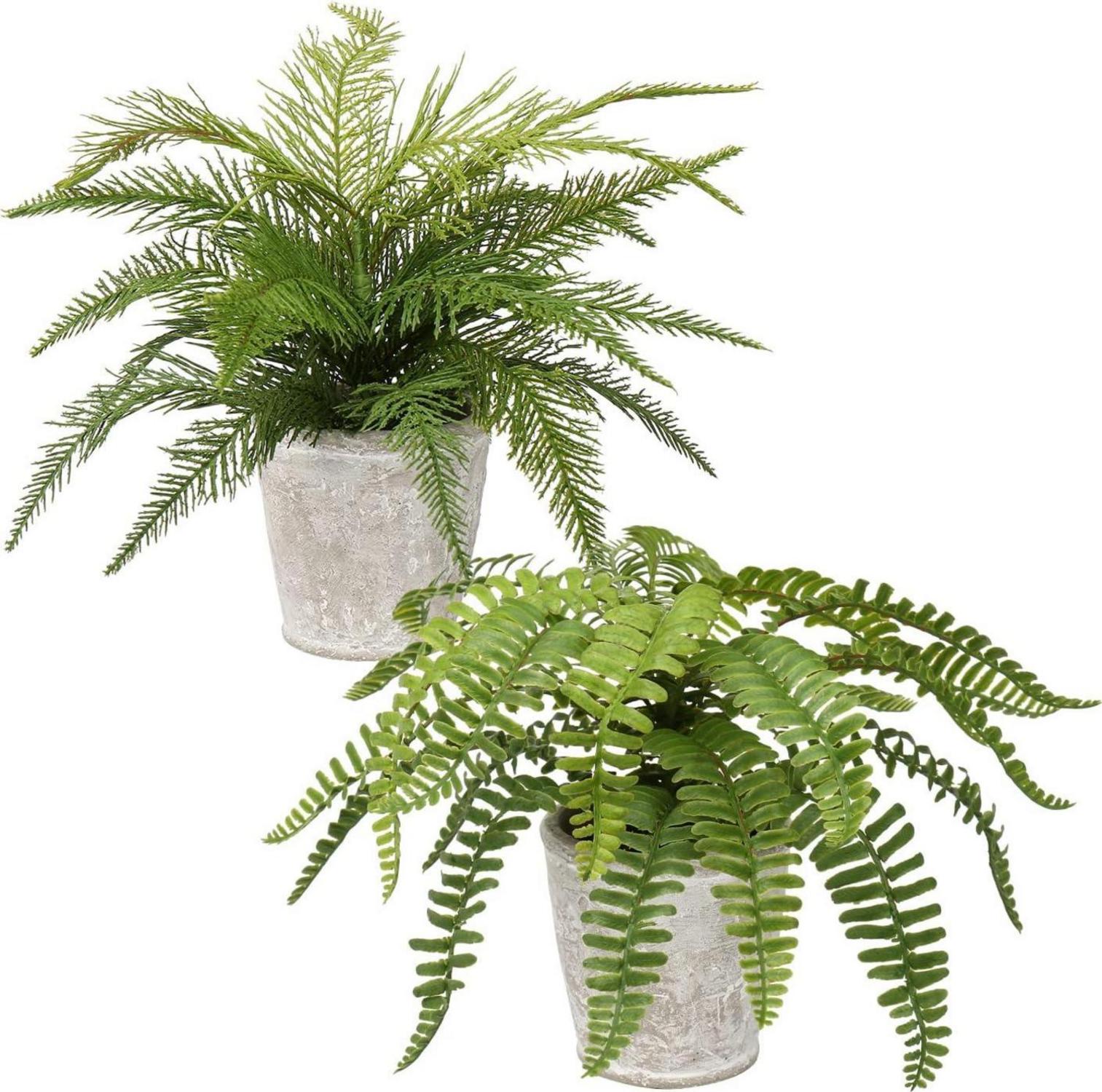2er Set Künstlicher Boston Farn Deko Pflanzen im Zementtopf