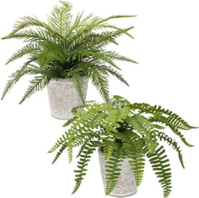 2er Set Künstlicher Boston Farn Deko Pflanzen im Zementtopf