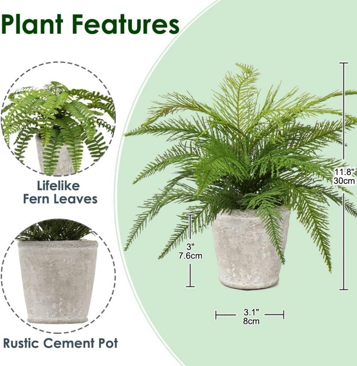 2er Set Kunstpflanze Boston Farn im Zementtopf Deko Grün
